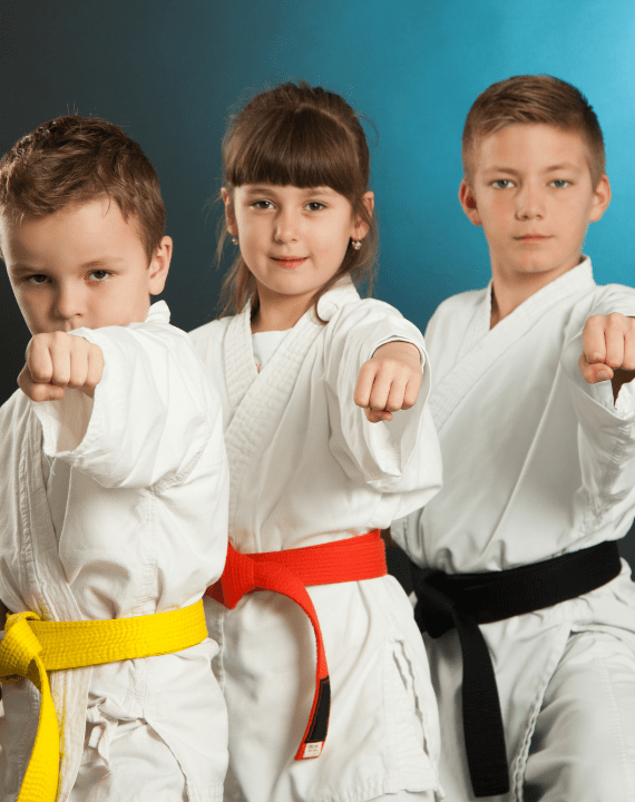 https://allorenmartialarts.com/wp-content/uploads/2025/03/Untitled-design-2025-03-15T093749.753.png